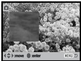 MINOLTA DIMAGE X60 - IMAGE PASTING - 11