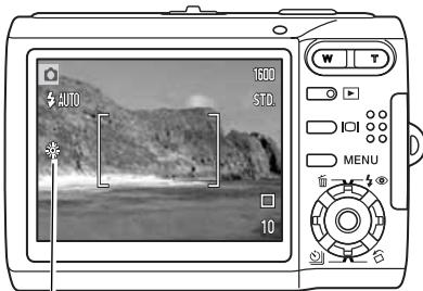 MINOLTA DIMAGE X60 - WHITE BALANCE - 1