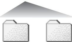 MINOLTA DIMAGE X60 - FOLDER ORGANIZATION - 2