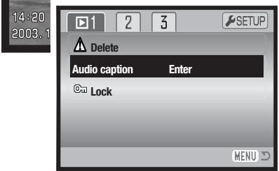 MINOLTA DIMAGE XG - AUDIO CAPTION - 2