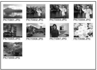MINOLTA DIMAGE XG - Date Print/Index Print - 1