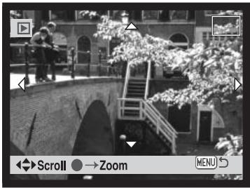 MINOLTA DIMAGE XG - Enlarged playback - 6