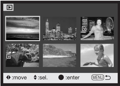 MINOLTA DIMAGE XG - Frame-selection screen - 1