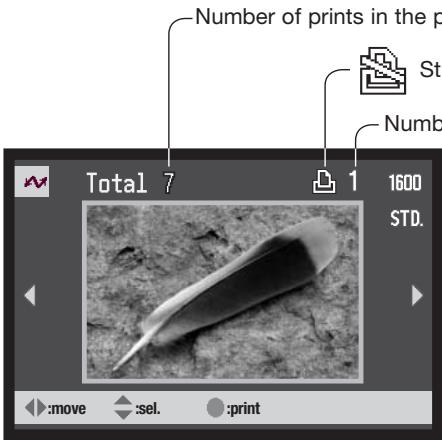 MINOLTA DIMAGE XG - Selecting print images - 1
