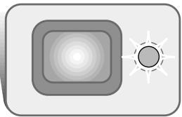 MINOLTA DIMAGE XI - Camera-shake warning - 2