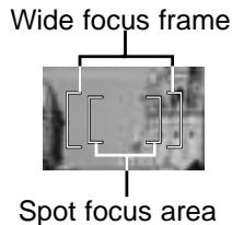 MINOLTA DIMAGE XI - Digital zoom - 2