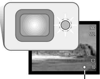 MINOLTA DIMAGE XI - Focus signals - 1