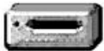 MINOLTA DIMAGE XI - Memory card folder organization - 1