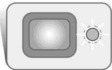 MINOLTA DIMAGE XI - Battery-condition indicator - 4