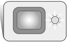 MINOLTA DIMAGE XI - Basic recording operation - 2