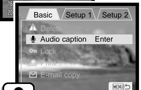 MINOLTA DIMAGE XI - Audio captioning - 2