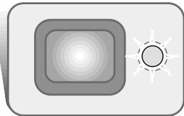 MINOLTA DIMAGE XI - Flash signals - 1