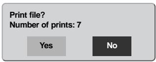 MINOLTA DIMAGE XT - USING USB DIRECT-PRINT - 6