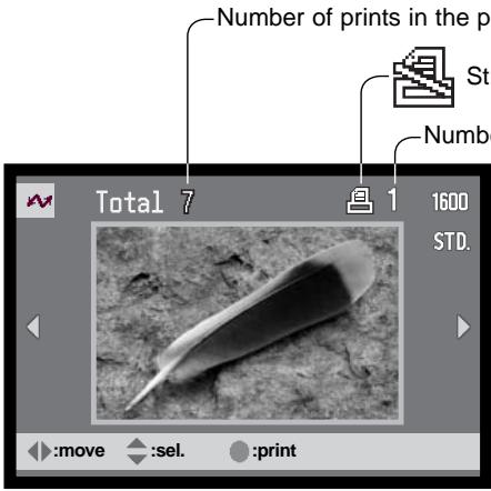 MINOLTA DIMAGE XT - USING USB DIRECT-PRINT - 2