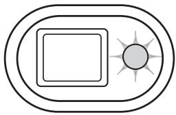 MINOLTA DIMAGE XT - FLASH SIGNALS - 1