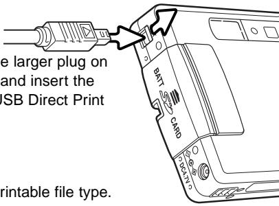 MINOLTA DIMAGE XT - USING USB DIRECT-PRINT - 1