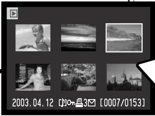MINOLTA DIMAGE XT - DISPLAY BUTTON - PLAYBACK MODE - 2