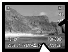 MINOLTA DIMAGE XT - DISPLAY BUTTON - PLAYBACK MODE - 1