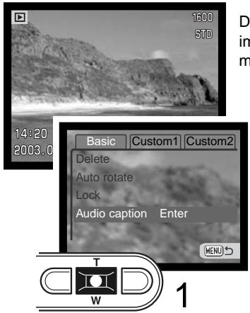 MINOLTA DIMAGE XT - AUDIO CAPTION - 1