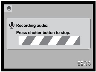 MINOLTA DIMAGE XT - AUDIO RECORDING - 2