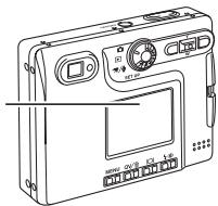 MINOLTA DIMAGE XT - ENLARGED PLAYBACK - 9