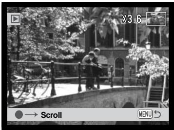 MINOLTA DIMAGE XT - ENLARGED PLAYBACK - 2