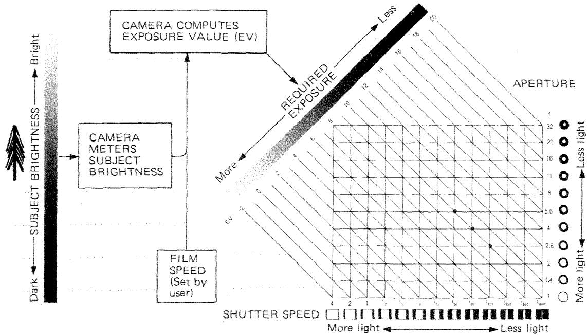 MINOLTA X-700 - Viewfinder shows: - 2