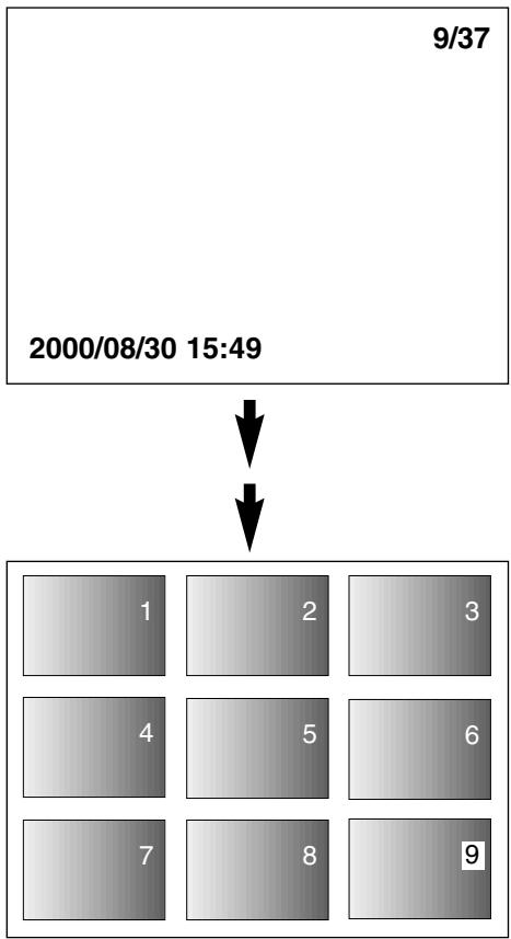 MINOLTA DIMAGE 2330 ZOOM - THE IMAGE INFORMATION DISPLAY IN THE PLAYBACK MODE - 4