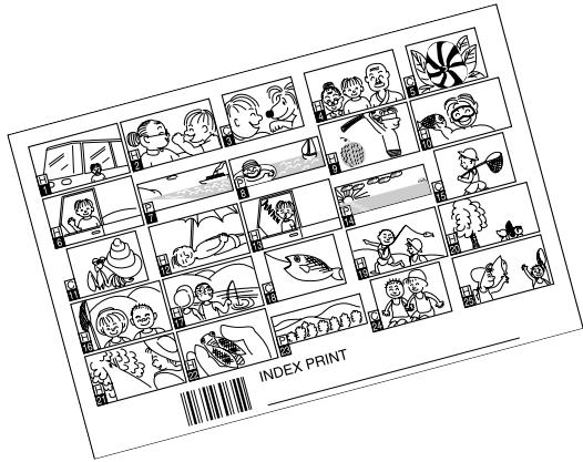 MINOLTA DIMAGE 2330 ZOOM - SPECIFYING THE INDEX PRINT SETTING - 1