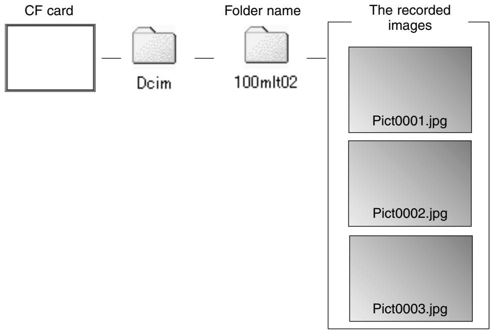 MINOLTA DIMAGE 2330 ZOOM - TO CANCEL THE PRINT SETTINGS WITH THE DPOF - 5