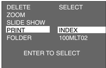MINOLTA DIMAGE 2330 ZOOM - SPECIFYING THE INDEX PRINT SETTING - 4