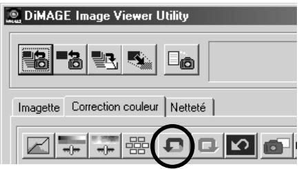 MINOLTA DIMAGE 5 - Correction par variation - saturation: - 2