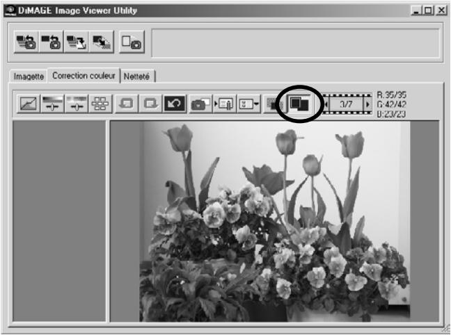 MINOLTA DIMAGE 5 - Affichage de l'ensemble de l'image corrigée: cliquer sur le bouton "afficher l'image en entier". - 1
