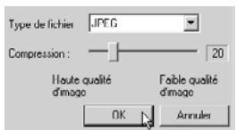 MINOLTA DIMAGE 5 - Sélectionner le format de fichier pour l'enregistrement dans la liste déroulante de formats de fichiers. - 1
