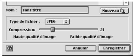 MINOLTA DIMAGE 5 - Cliquer sur le bouton "sauvegarder une image" de la fenêtre principale. - 4