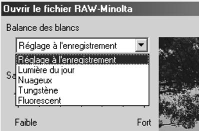 MINOLTA DIMAGE 5 - Dans le menu de sélection de balance des blancs, sélectionner une option de balance des blancs à appliquer. - 1