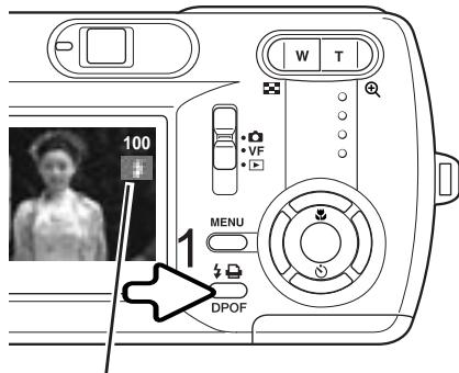 MINOLTA DIMAGE E323 - FLASH MODES - 1