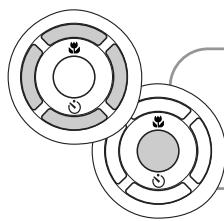 MINOLTA DIMAGE E323 - SETTING THE LANGUAGE - 3