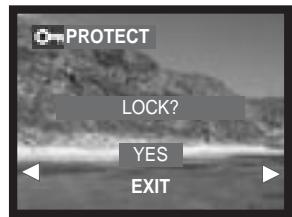 MINOLTA DIMAGE E323 - PROTECTING IMAGE FILES - 1