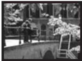 MINOLTA DIMAGE E323 - ENLARGED PLAYBACK - 3