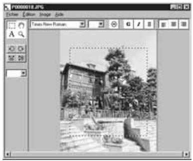 MINOLTA DIMAGE EX - Cliquer sur l'outil de sélection de la palette d'outils. - 2