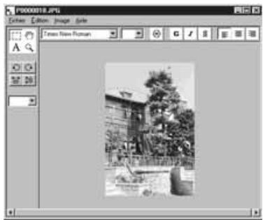 MINOLTA DIMAGE EX - Cliquer sur l'outil de sélection de la palette d'outils. - 3