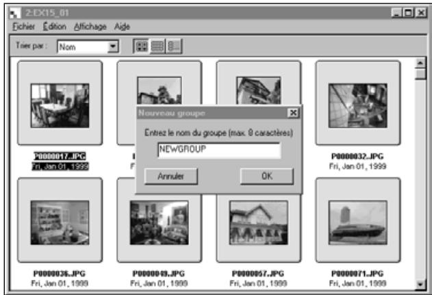 MINOLTA DIMAGE EX - Entre le nom du groupe dans la fenêtre puis cliquer sur OK. - 1