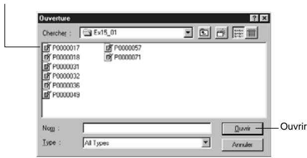 MINOLTA DIMAGE EX - Ajouter un fichier image - 1