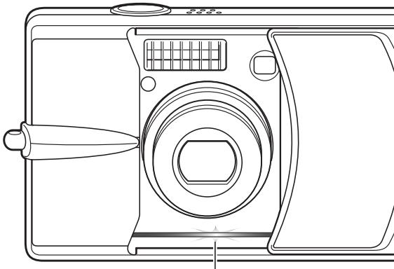 MINOLTA DIMAGE G600 - Shooting Tips - 1