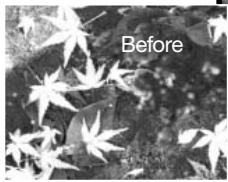 MINOLTA DIMAGE G600 - Shooting tips - 1