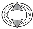 MINOLTA DIMAGE G600 - Monochrome - 1