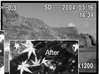 MINOLTA DIMAGE G600 - Shooting tips - 2