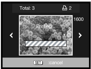 MINOLTA DIMAGE G600 - Pictbridge - 9