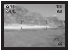 MINOLTA DIMAGE S414 - DISPLAY MODE - 1